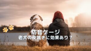 防音ケージは老犬の夜鳴きに効果あり？