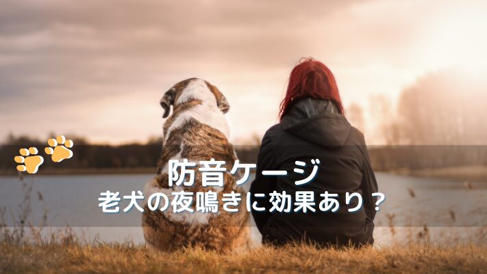 防音ケージは老犬の夜鳴きに効果あり?