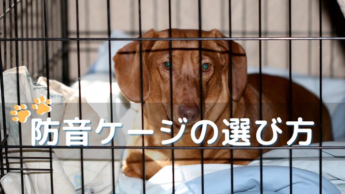 防音ケージの選び方
