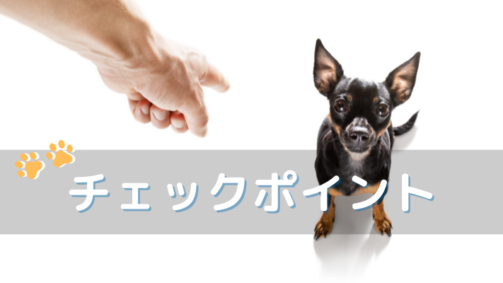 チェックポイント