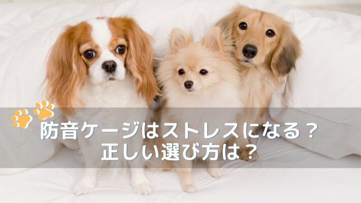 防音ケージはストレスになる?正しい選び方は?